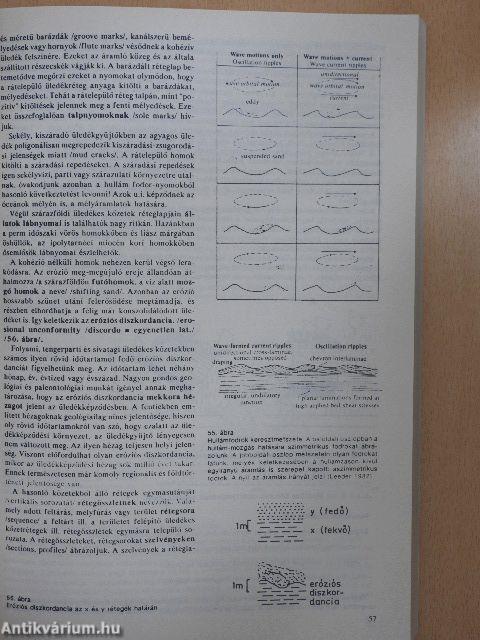 Elemző (általános) földtan I-II.