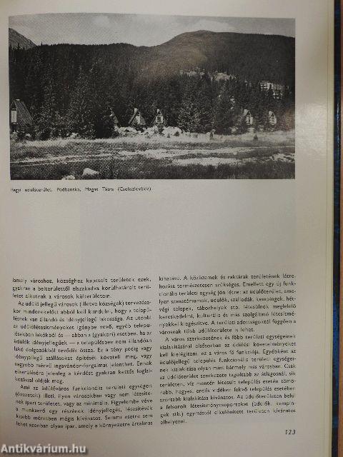 Város, ember, környezet