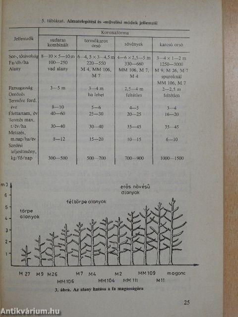Gyümölcstermesztés III.