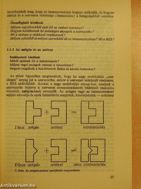 Általános járványtan, immunitástan és kórtan