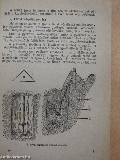 A szőlő munkái