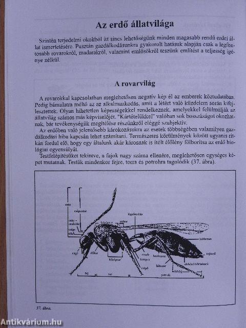 Erdészeti alapismeretek I.