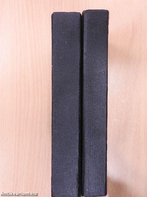 Magyar-francia kéziszótár I-II.