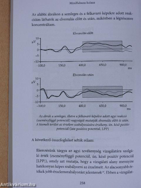 Mindfulness-kalauz