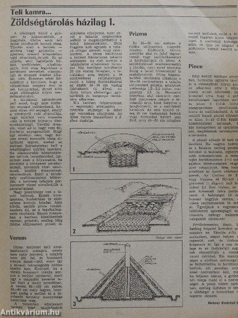 Kertészet és Szőlészet 1983. október 13.