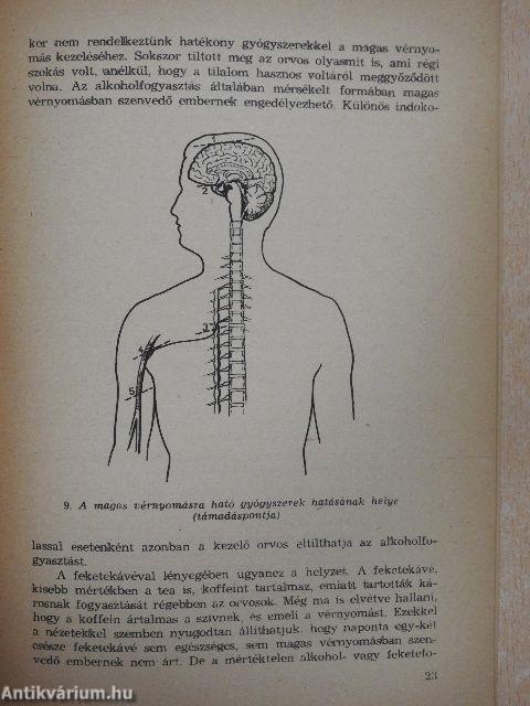 Korunk betegsége a magas vérnyomás