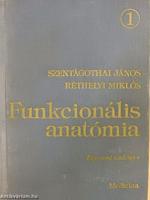 Funkcionális anatómia 1. (töredék)