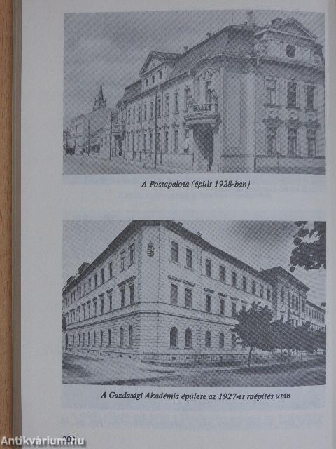 Egy unoka visszanéz I. (töredék)