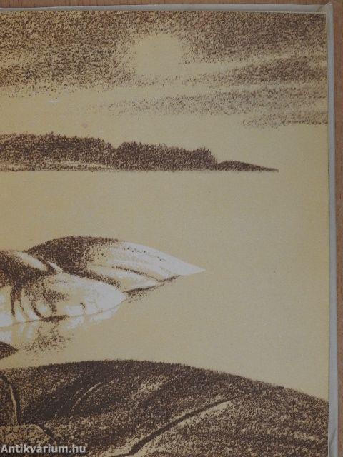 Karélia kőkrónikája: az Onéga-tó és a Fehér-tenger sziklarajzai (orosz nyelvű)