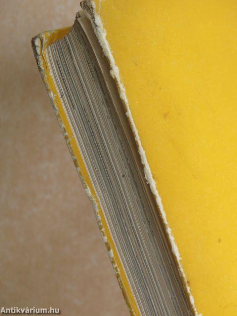 Rokonok és idegenek