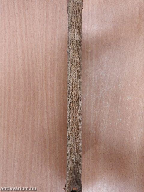 Dante szonettjei (Dr. Castiglione László könyvtárából)