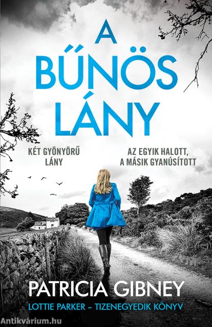 A bűnös lány - Lottie Parker 11.