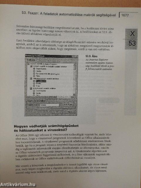 Microsoft Office 2000 III.