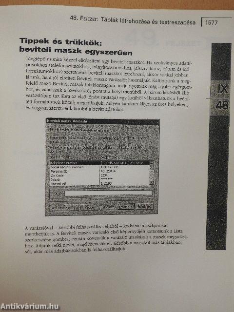 Microsoft Office 2000 III.