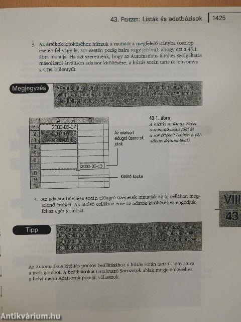 Microsoft Office 2000 III.