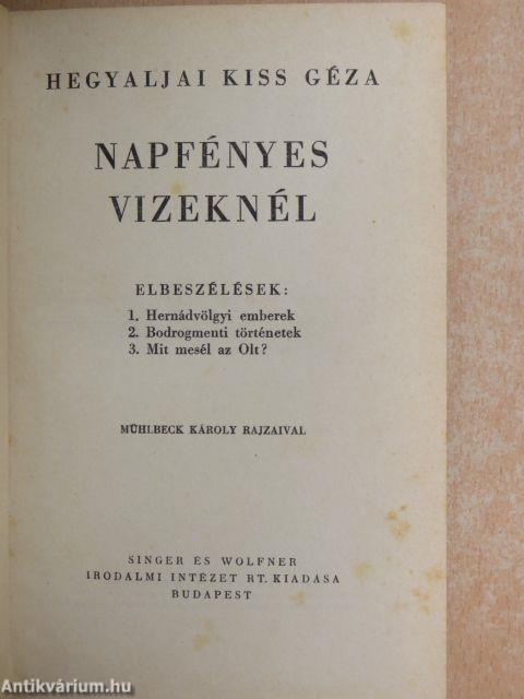 Napfényes vizeknél