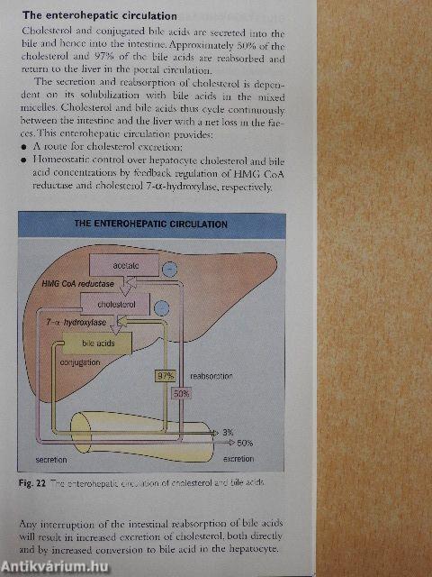 Lipids and Lipid Disorders