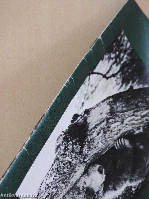 "Az ember és a természet"