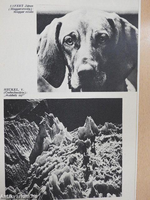 "Az ember és a természet"