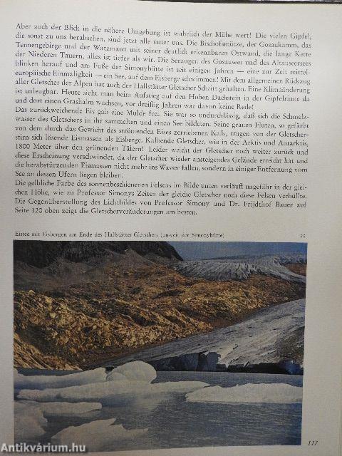 Ein Jahr geht über die Berge