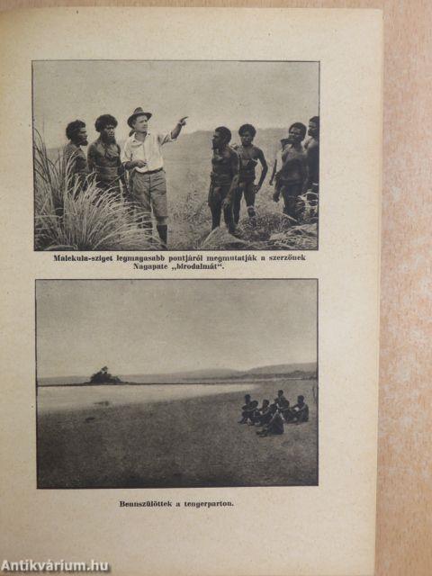 A kannibálok szigetén