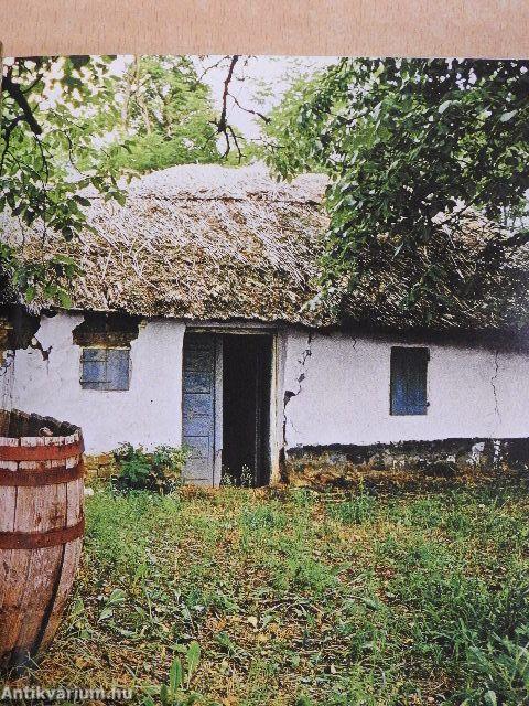 Wine Cellars