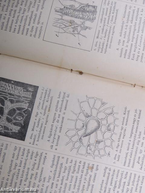 Természettudományi Közlöny 1896. január-december/Pótfüzetek a Természettudományi Közlönyhöz 1896. január-december