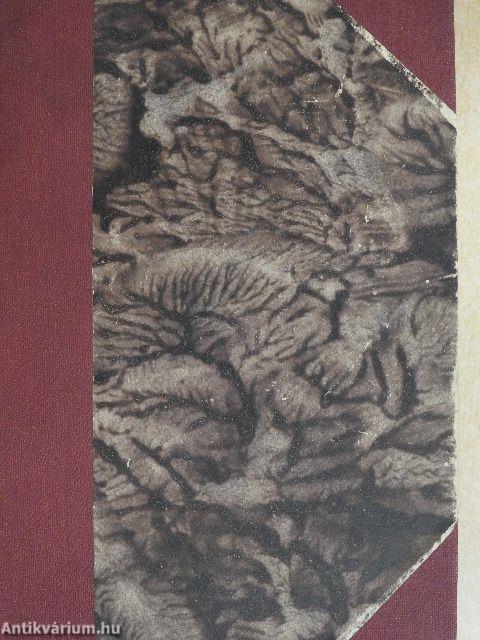 A harmincéves asszony