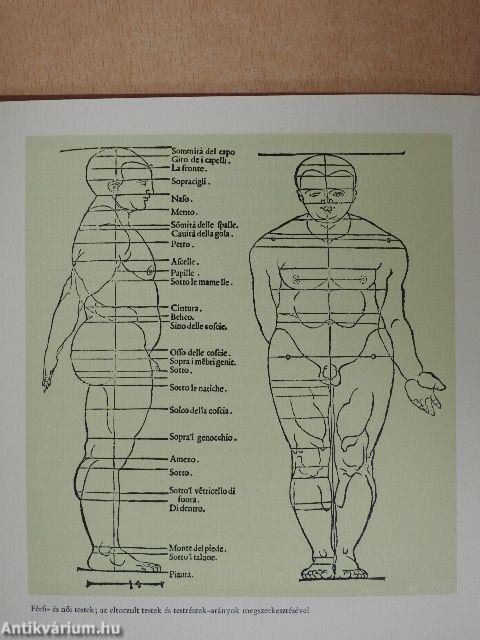 Della Simmetria dei corpi humani