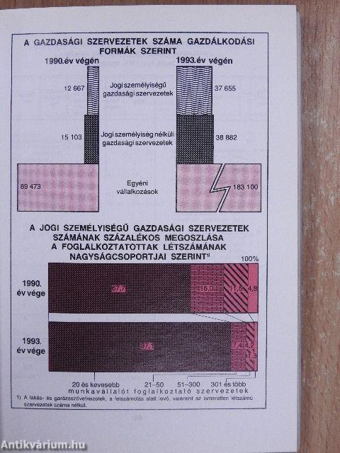 Budapest statisztikai zsebkönyve 1993