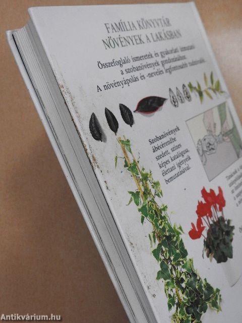 Növények a lakásban