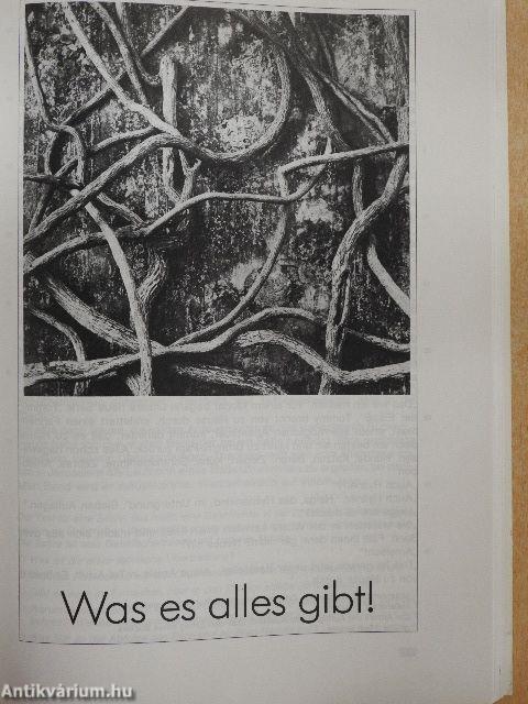 Lesebuch 3.