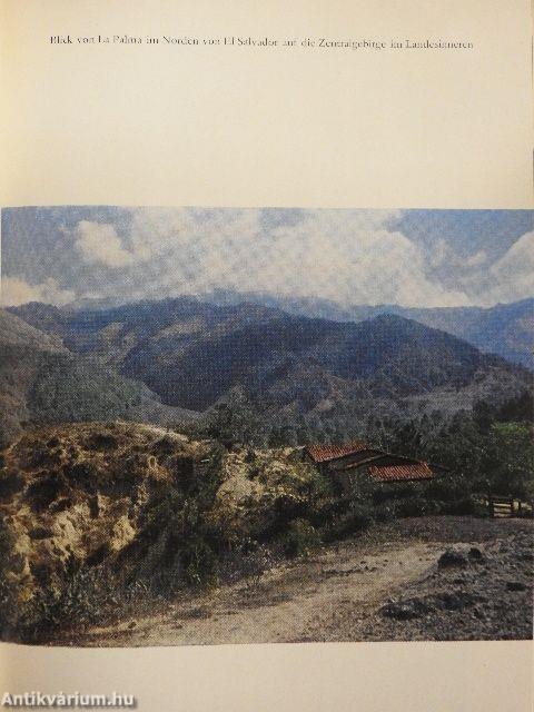 Unter Kreolen Indios und Ladinos