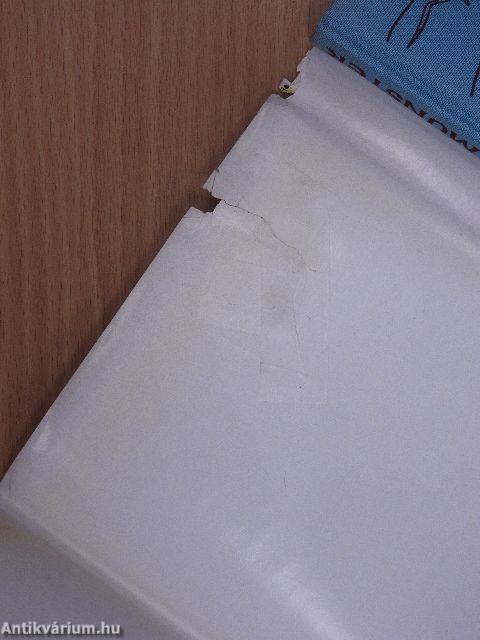 Das Doberaner Münster