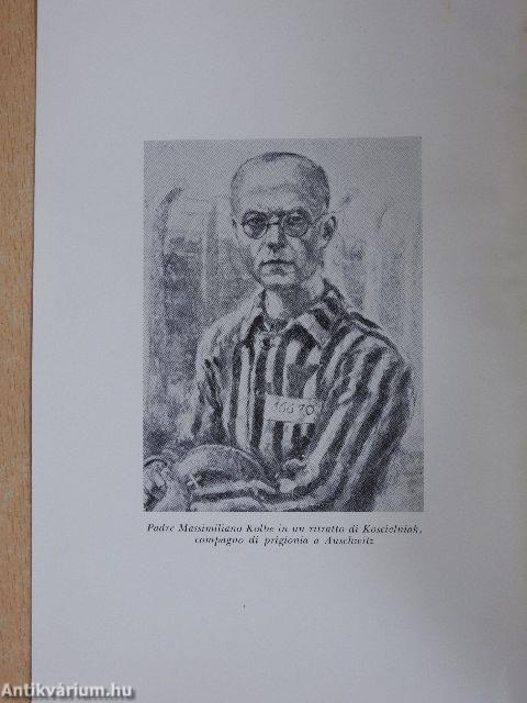 Padre Kolbe