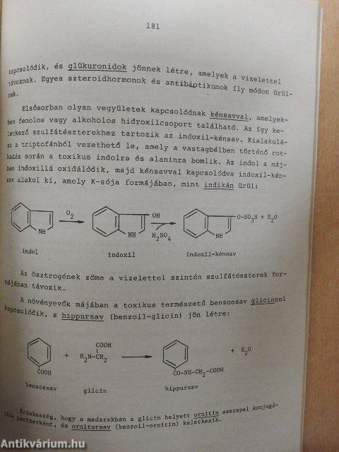 Az intermedier anyagcsere és szabályozása