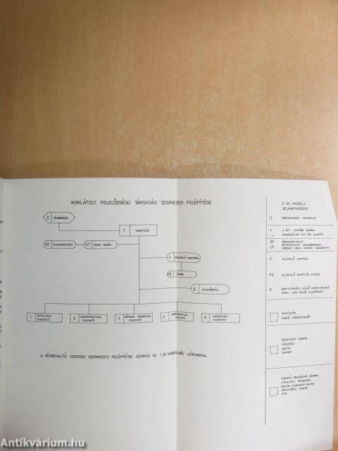 Vállalati vállalkozói gazdálkodás