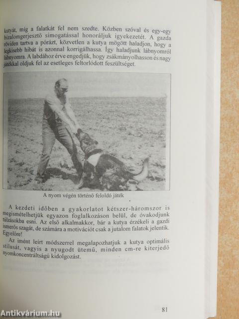 A dobogó árnyékában