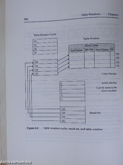 Power Programming with SQLWindows