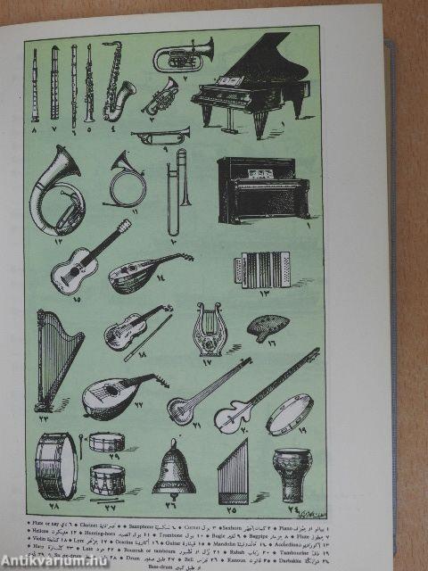 Student's English-Arabic Dictionary