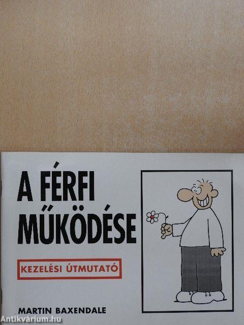 A férfi működése