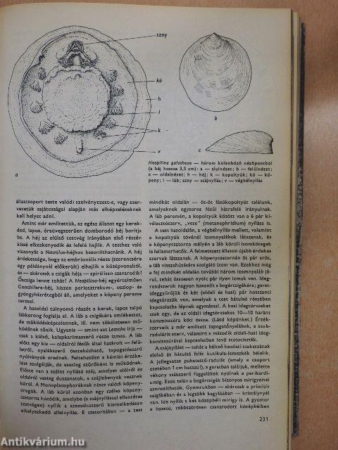 Urania Állatvilág - Alsóbbrendű állatok