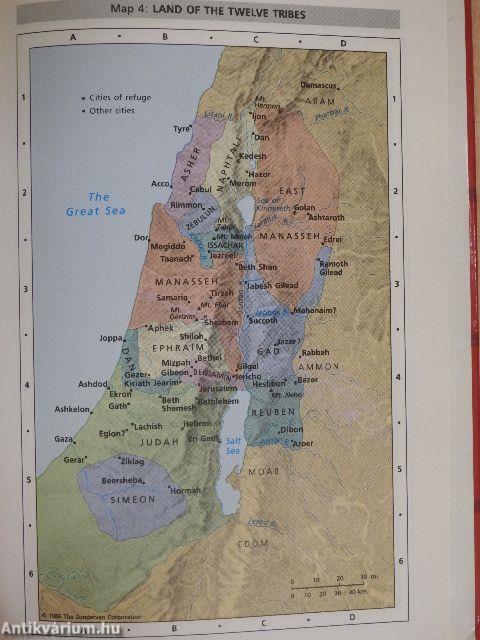 Life Application Bible