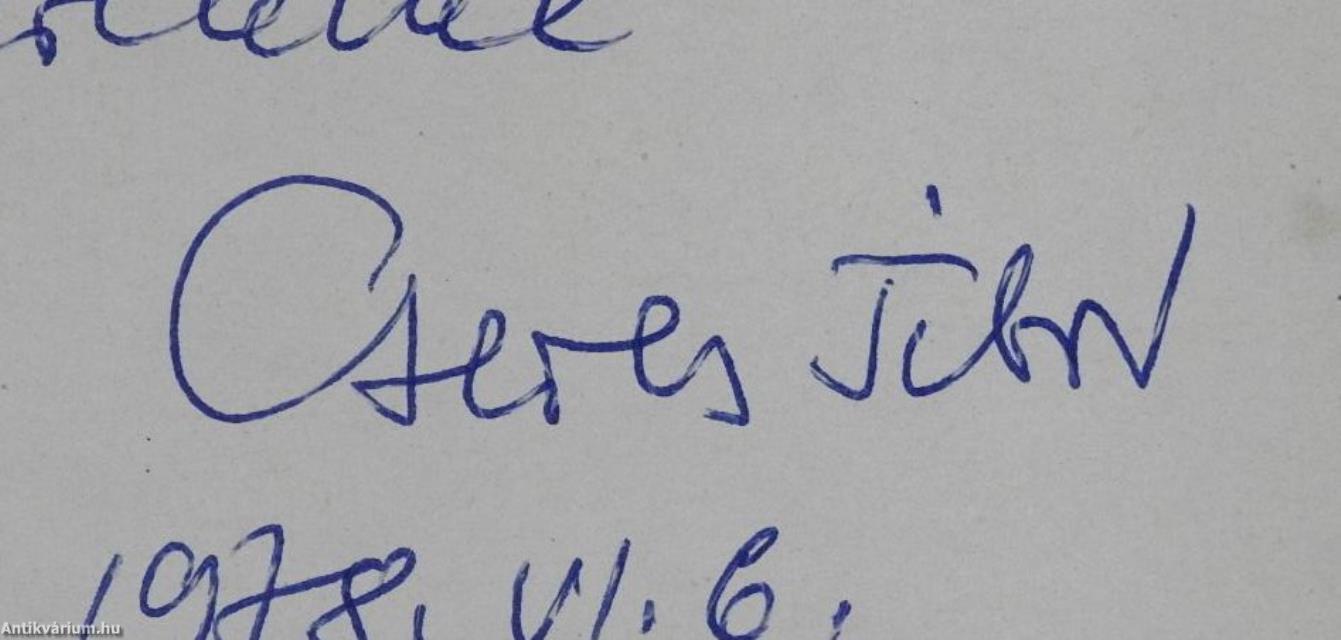 Pesti háztetők (dedikált példány)