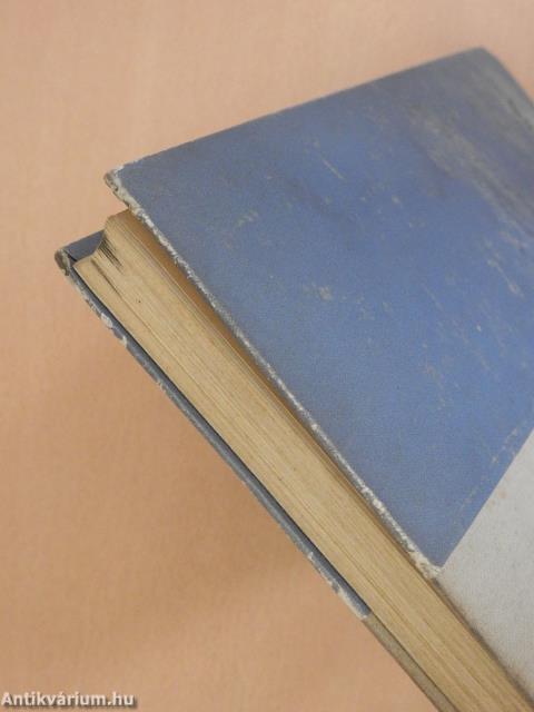 Pesti háztetők (dedikált példány)