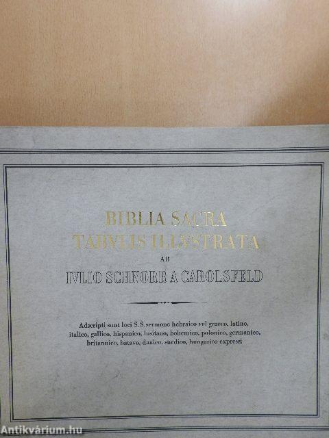 Biblia Sacra Tabulis Illustrata