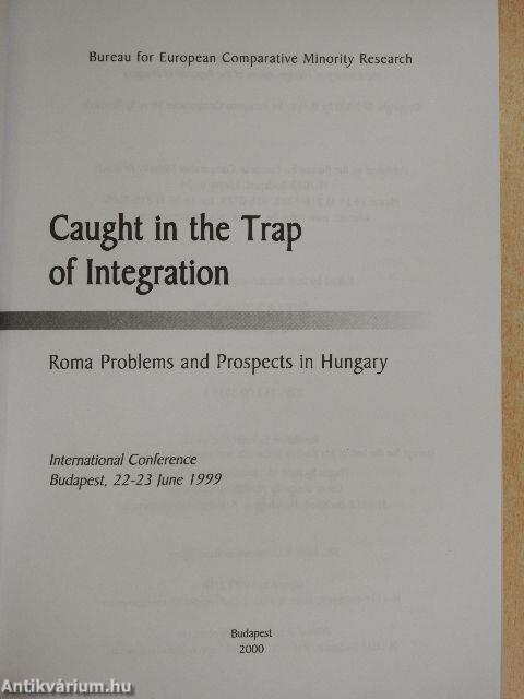 Caught in the Trap of Integration