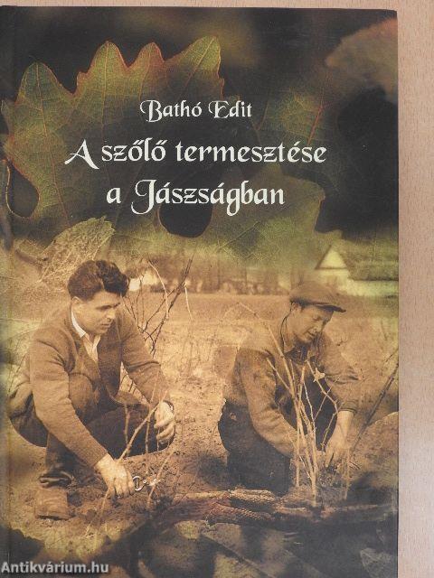 A szőlő termesztése a Jászságban