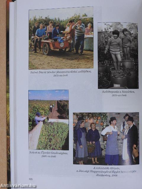 A szőlő termesztése a Jászságban