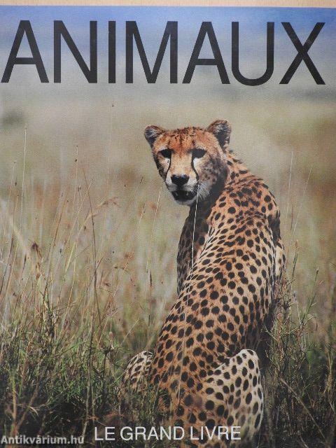 Animaux